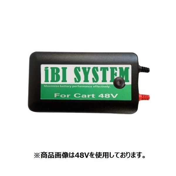 電動ゴルフカート・ターレー（構内運搬車）など 鉛バッテリー延命装置 iBI SYSTEM iBI