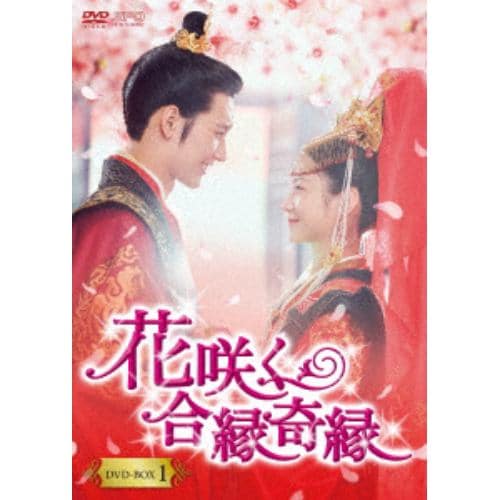 【DVD】花咲く合縁奇縁 DVD-BOX1