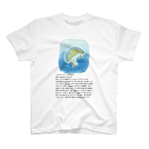 ハナガサクラゲのＴシャツ