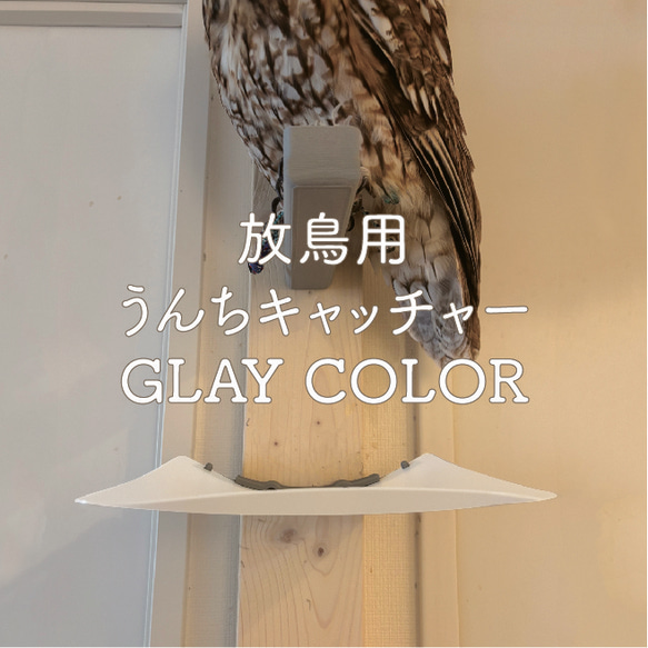 ふくろう放鳥用　うんちキャッチャー　GLAY COLOR