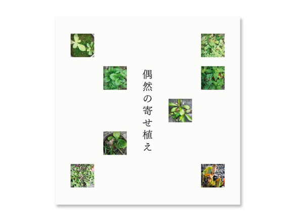 手製本『偶然の寄せ植え』