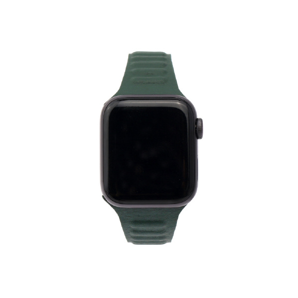 WEARPLANET Apple Watch 41/40/38mm用Slim Line マグネットリンクバンド Hookers Green WP23201AWGR