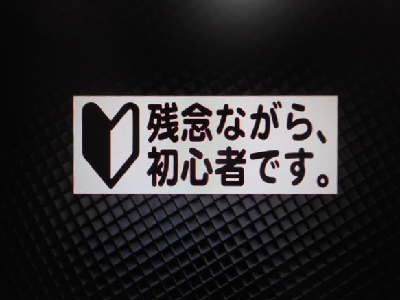 初心者用　注意喚起　カッティングステッカー　１