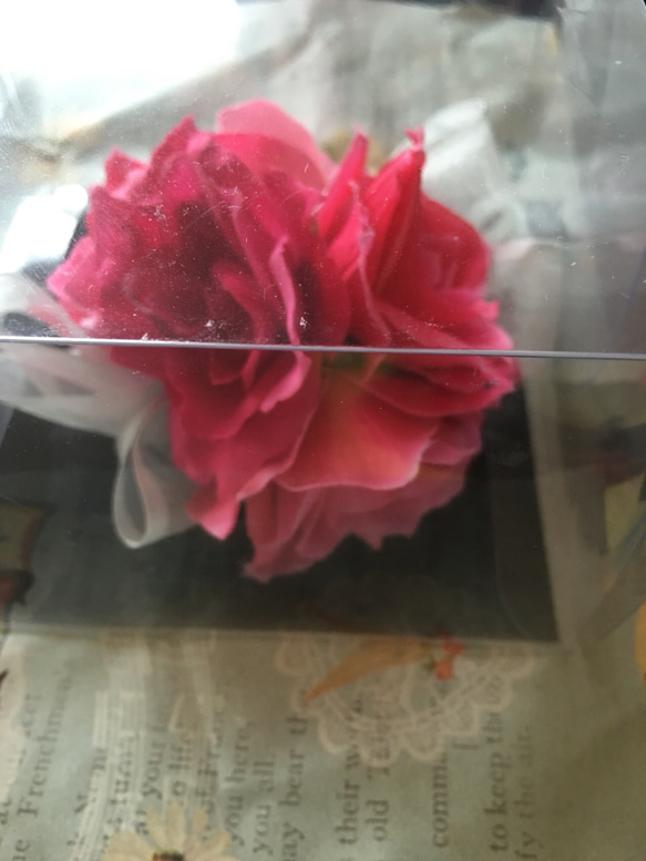 Ren plnky corsage