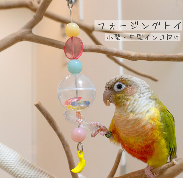 【鳥のおもちゃ〈小型・中型インコ向け〉】カラフルおやつカプセルのフォージングトイ