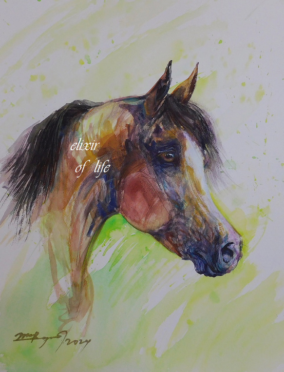 Arabian Horse 2024（高級水彩画用紙３２ｃｍ×４１，５ｃｍ、水彩、アクリル、パステル）