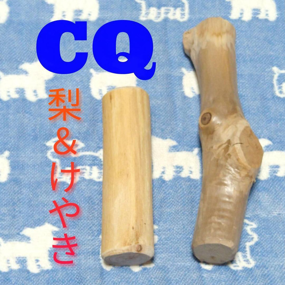 CQ.けやき梨の木新品.犬用おもちゃ、小型犬向け歯固め、かじり木