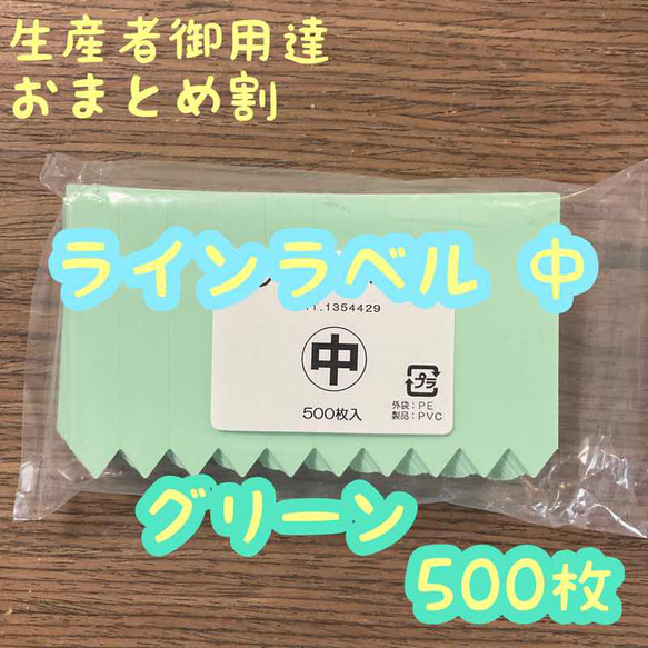 ラインラベル 中 グリーン 500枚 園芸カラーラベル 多肉植物 エケベリア