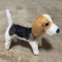 羊毛フェルト犬＊ビーグル犬＊ハンドメイド