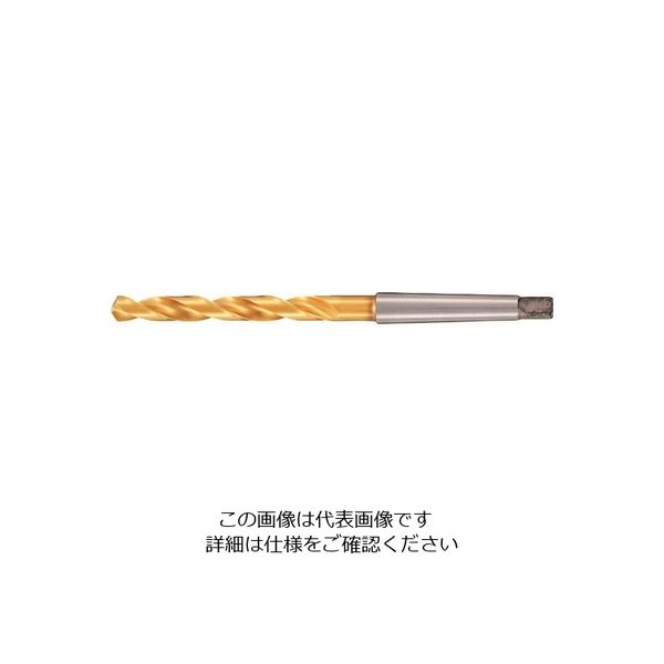 グーリングジャパン（GUHRING） グーリング ハイスドリル レギュラ TiNコート 19mm 654 19.000 232-9096（直送品）