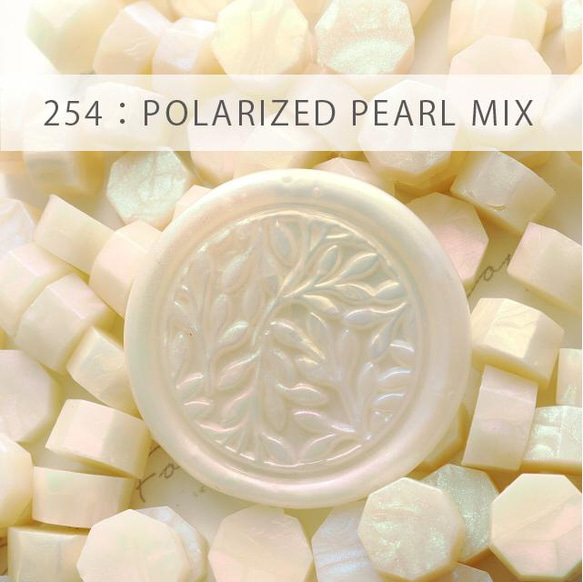 254：POLARIZED PEARL MIX【偏光パール】【5色35g：約100粒】【