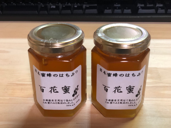 日本蜜蜂 蜂蜜 160g 2本セット