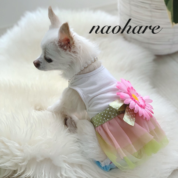 新作　ペット服　Mサイズ　犬服　猫服　ワンピース　夏服　チュールスカート　お花ブローチ　リボン　ペットウェア　可愛い　夏