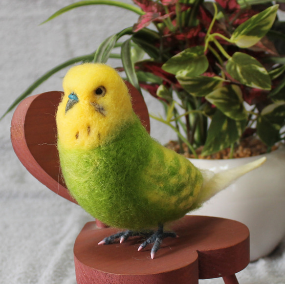 羊毛フェルト オーダー 「リアルで可愛いインコちゃん」セキセイインコ うちの子 プレゼント ぬいぐるみ