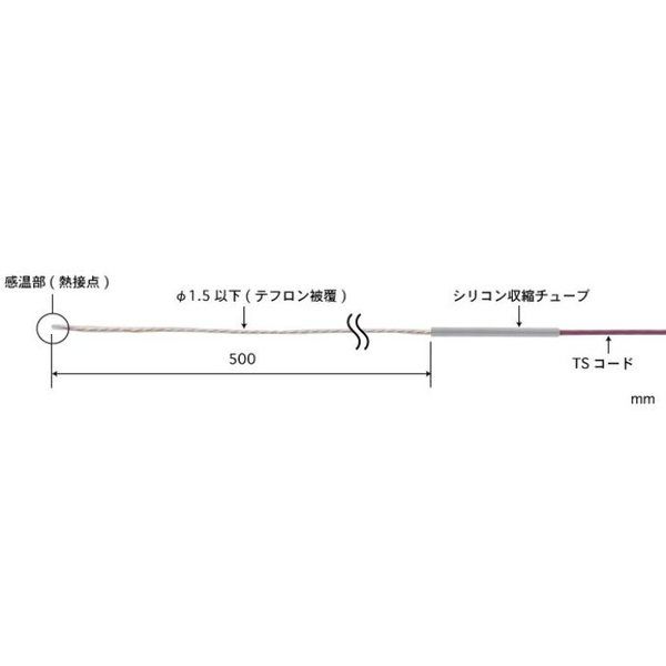 AT-10E-050-0-TS1-ASP（直送品）