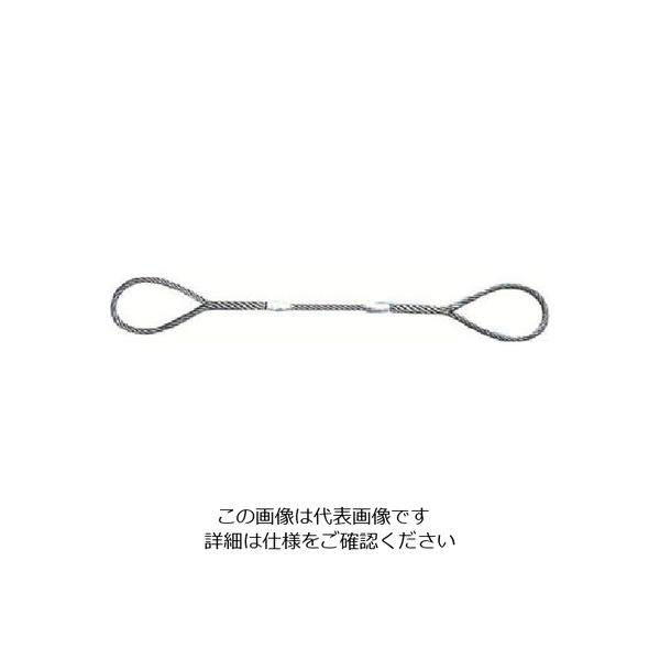 日興製綱 ニッコウ Wスリング(裸) 全長6.0m スリング径18mm W18-6H 1セット(5本) 815-7447（直送品）