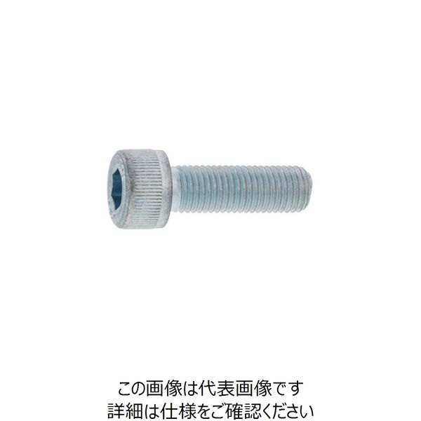 SUNCO ステンCAP 細目（P1.25 10 X 35 （50本入） A0-02-0004-0100-0350-00 243-6040（直送品）