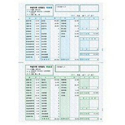 ソリマチ 給与・賞与明細書 明細型 (100枚) SR2101