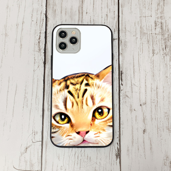 iphoneケース3-1-38 iphone 強化ガラス 猫・ねこ・ネコちゃん 箱16 かわいい アイフォン iface