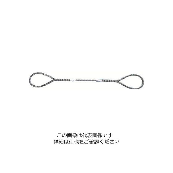 日興製綱 ニッコウ Wスリング(裸) 全長3.0m スリング径20mm W20-3H 1セット(2本) 815-7448（直送品）