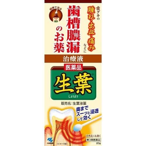 【第3類医薬品】 小林製薬 生葉液薬 (20g)