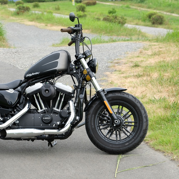 サングラスホルダー：スタンダードカラー（真鍮）／ SPORTSTER 48 XL1200X 49mmフォーク用