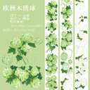 海外PETテープ ヨーロッパウッドアジサイ 緑の花 和紙マスキングテープ(剥離紙付き) グーカテープ 装飾系 海外マステ ステッカー スマホ用 膠帶 コラージュ用ノート