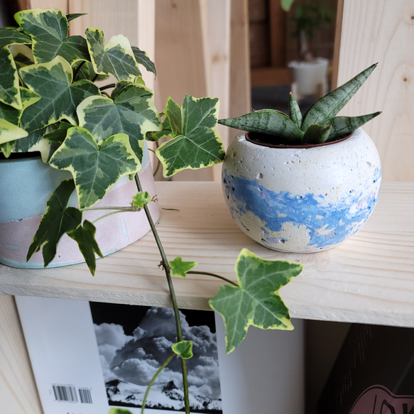 マルpot　セメント鉢　//cement pot　植木鉢　2号サイズ