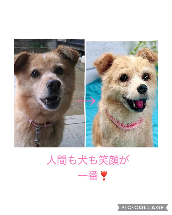 オーダー　羊毛フェルト　♡再現　mix犬♡ずっとそばに♡世界でたった一つ