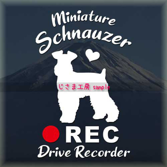 わんちゃんの可愛いドラレコステッカー!!『DRIVE　RECORDER』