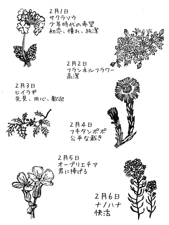 ２月の誕生花のスタンプ 取っ手なし