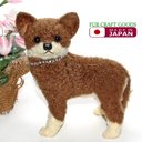 犬の日　1点もの特選品・ソックスを履いたブラウンのチワワ・四つ立ち型