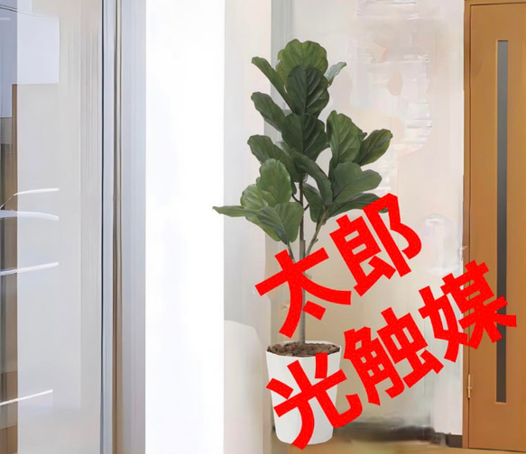 光触媒　人工観葉植物　ウォールグリーン　フェイクグリーン　カシワバゴム1.25