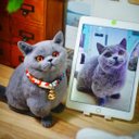 【オーダーメイドペット】羊毛フェルト、うちの子　猫ぬいぐるみ、フェルト猫、羊毛猫、肖像画、犬猫人形 プレゼントやギフトに