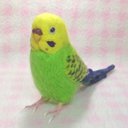 リアルサイズ♪ セキセイインコ グリーンオパ－リン  budgie 虎皮鸚鵡 羊毛フィギュア 羊毛フェルト 鳥のオブジェ リアルバード 受注制作