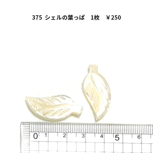 375 アクセサリーパーツ　シェル葉っぱ　1粒　250円