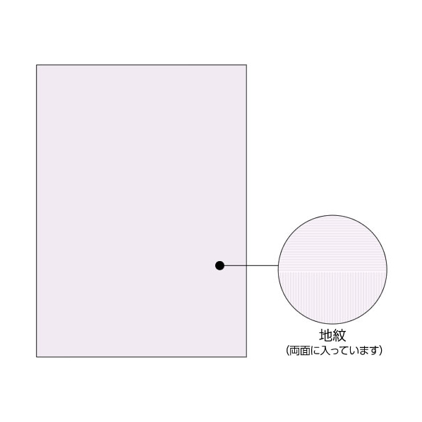 ヒサゴ コピー偽造予防用紙浮き文字A4両面1000枚 F125877-BP2110Z