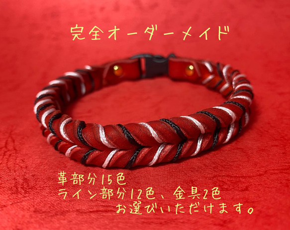 Koch/Twist Line 犬猫用首輪　オーダーメイド