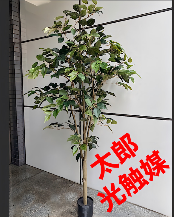 光触媒　人工観葉植物　ウォールグリーン　フェイク　フラワー　ベンジャミン150