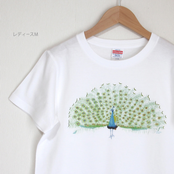 p-jet　孔雀 Tシャツ  / 鳥 クジャク