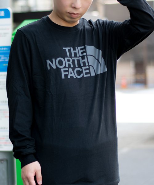 THE NORTH FACE ノースフェイス HALF DOME Tシャツ Lサイズ