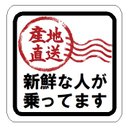 産地直送 新鮮な人が乗ってます カー マグネットステッカー