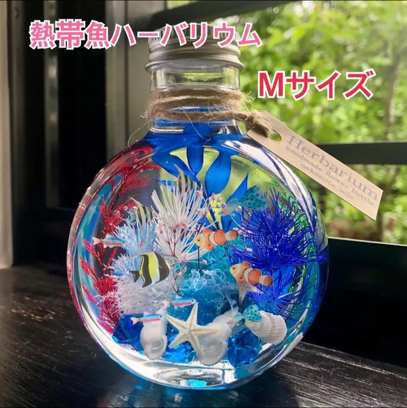 アクアハーバリウム　熱帯魚　ネコ瓶　Mサイズ（150ml ）