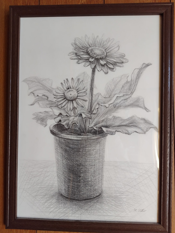 鉛筆画　花