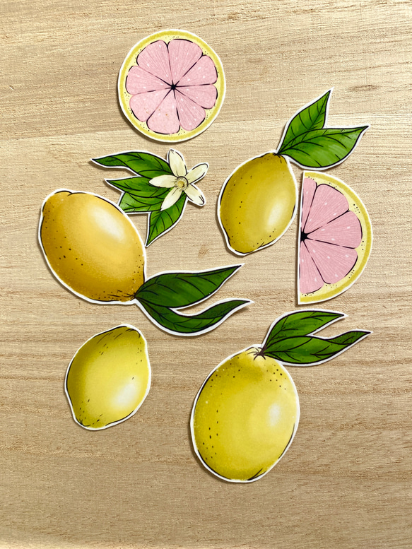 Pink Lemon Sticker Set ピンクレモンのシールセット