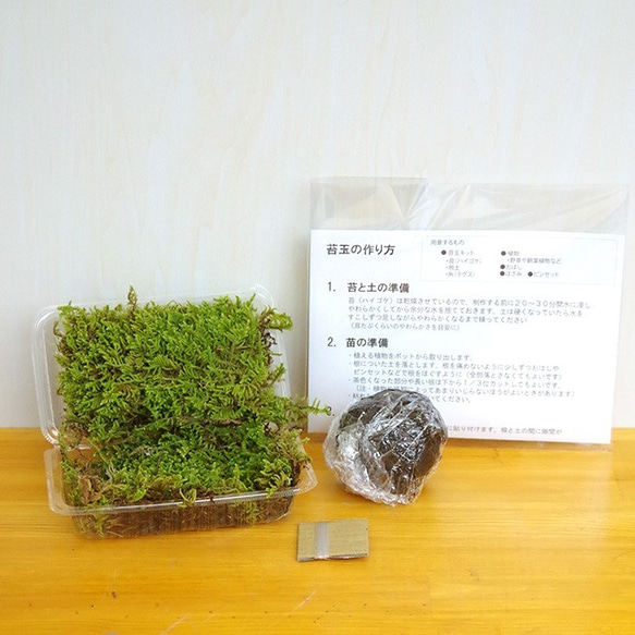 さあ苔玉（こけだま）を作りましょう！【苔玉キット】