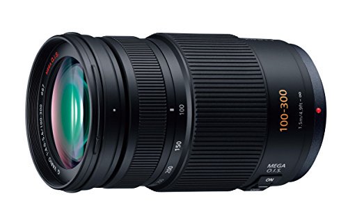 Panasonic 望遠ズームレンズ マイクロフォーサーズ用 ルミックス G VARIO 100-300mm/F4.0-5.6 /MEGA O.I.S. H-FS100300【中古品】