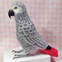 ライフサイズ ヨウム    Gray parrot  Stuffed wool 灰鸚鵡 現實大小 羊毛フェルト 羊毛インコ 大型インコ オウム 鳥のオブジェ 受注作成