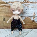 虹色の星柄サルエルパンツ☆ねんどろいどどーる服