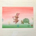 ????透明水彩画「のんびり　のんびり」 イラストポストカード 2枚セット うさぎ　ウサギ　カメ　かめ　????